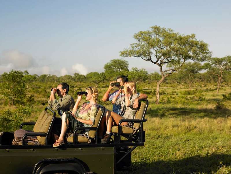 20X50 HD Magnification Binoculars, Adjustable and Night Vision