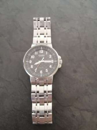 Citizen ecodrive watch