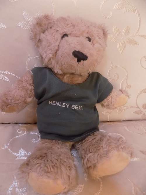 Simply Soft Teddy Bear with T-Shirt