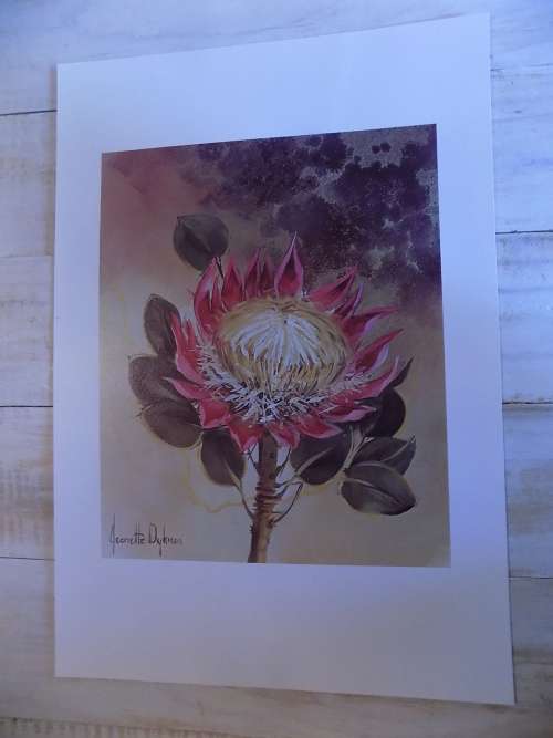 High Quality Jeanette Dykman Flower Print