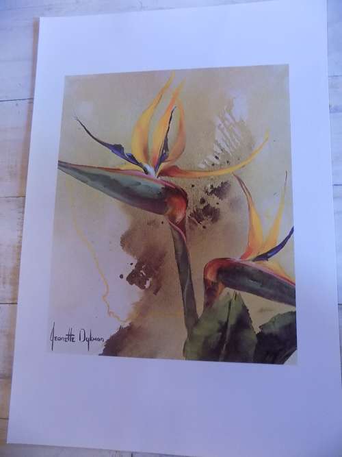 High Quality Jeanette Dykman Flower Print