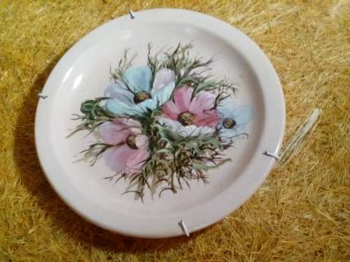 Lovely Hand Painted 'Cosmos' Wall Hanging Plate - Size 18cm x 2cm - Good Condition