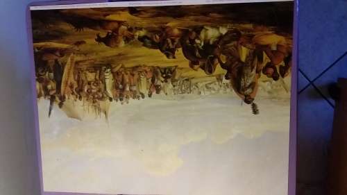 Quality Unframed Thomas Baines Print - Courtesy of Afrikaner Musuem JHB
