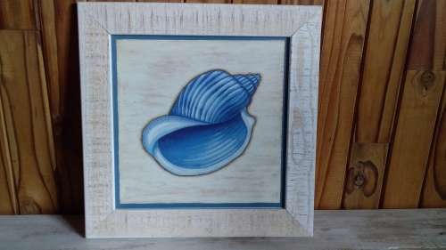 White Washed Wooden Frame with Sea Shell Print