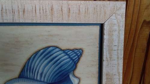 White Washed Wooden Frame with Sea Shell Print