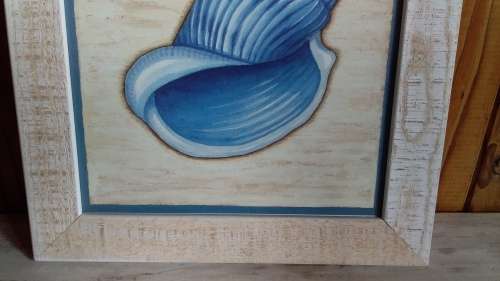White Washed Wooden Frame with Sea Shell Print