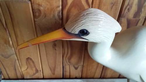 Large Fossils Feather Hand Carved Bird - Beak Repaired