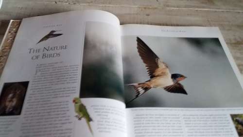 The Cage Aviary Bird Handbook
