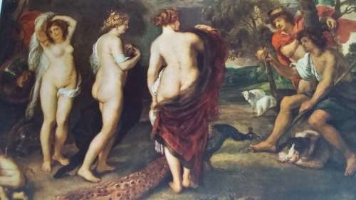 The Judgment of Paris - Rubens (Plate)