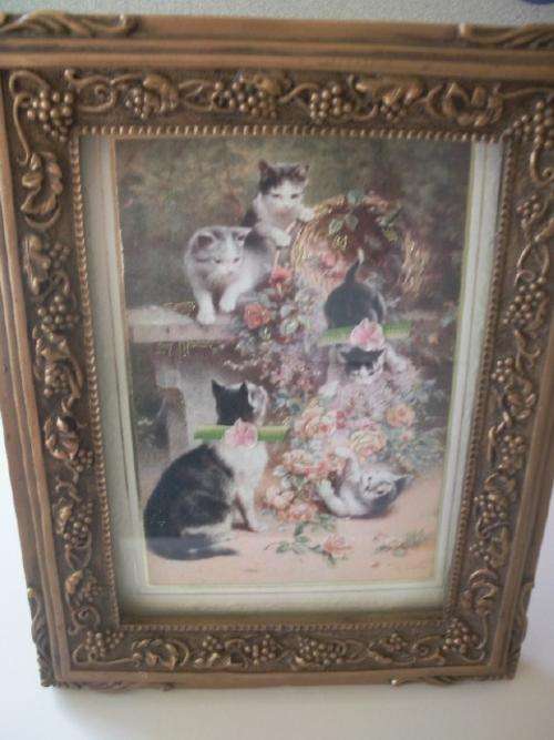 Lovely Decorative Frame