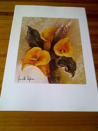 Quality Print of the Yellow Arum Lily by Jeanette Dykman (Postage R30)