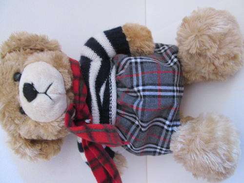 Adorable Teddy Bear Dressed for Winter