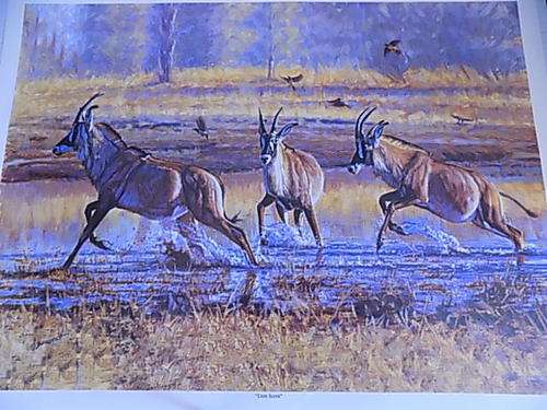 Quality Wildlife Art Calendar Print on Canvass Paper Board