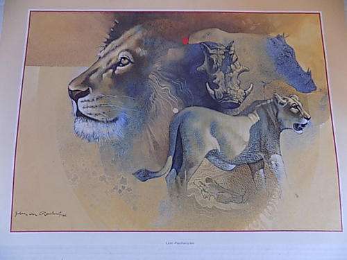 Quality Wildlife Art Calendar Print on Canvass Paper Board