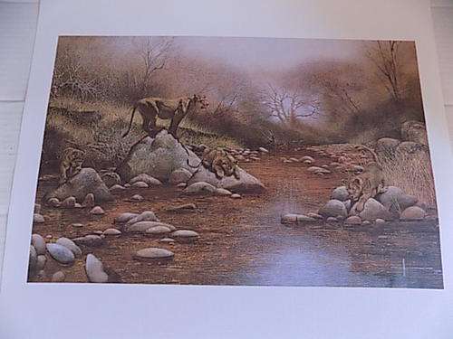 Quality Wildlife Art Calendar Print on Canvass Paper Board
