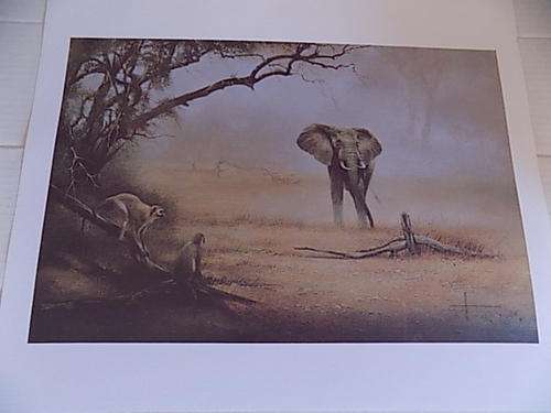 Quality Wildlife Art Calendar Print on Canvass Paper Board