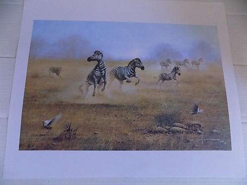 Quality Wildlife Art Calendar Print on Canvass Paper Board