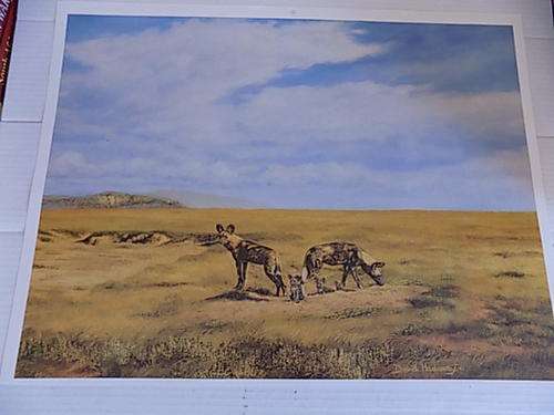 Quality Wildlife Art Calendar Print on Canvass Paper Board