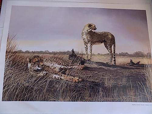 Quality Wildlife Art Calendar Print on Canvass Paper Board