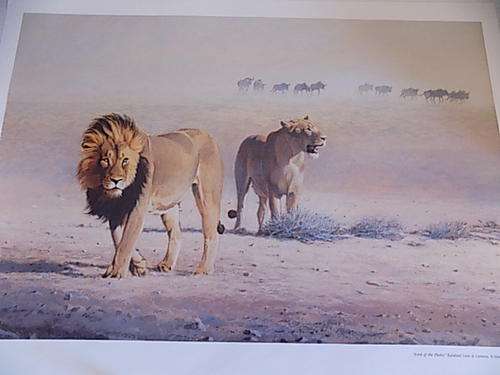 Quality Wildlife Art Calendar Print on Canvass Paper Board