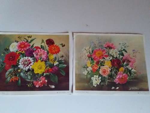 Two 1966 Prints of Still Life Art by Albert Williams - Unframed