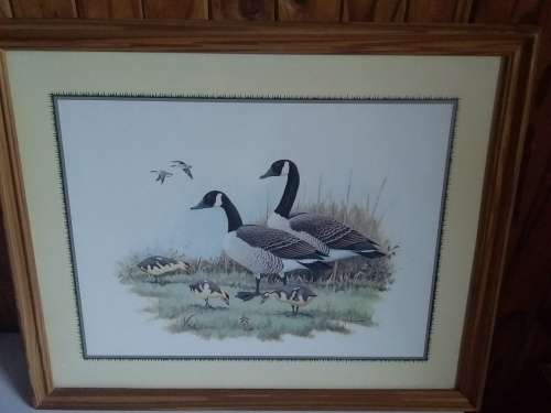 E.Ranbow Litho Print in Pine Wood Frame