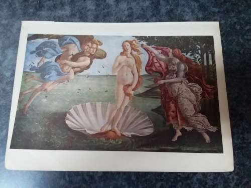 The Birth of Venus - Sandro Botticelli 1444 - 1510 Plate
