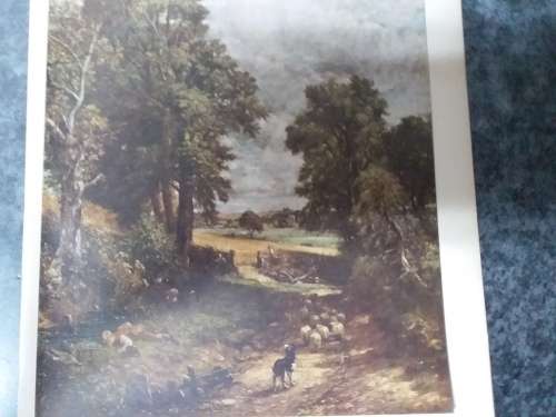 The Cornfield - John Constable Plate
