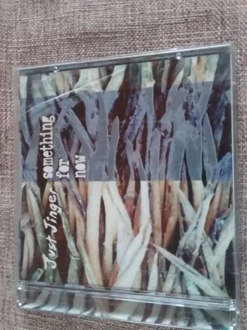 Just Ginger - Something for Now Music CD Good Condition