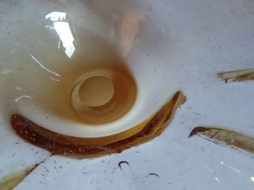 Large Amber Oyster Glass Bowl