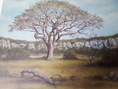 Unframed Quality Calendar Art Print Denis Murphy