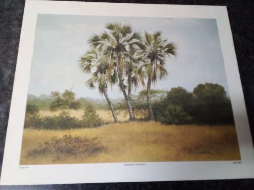 Unframed Quality Calendar Art Print Denis Murphy