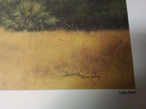 Unframed Quality Calendar Art Print Denis Murphy