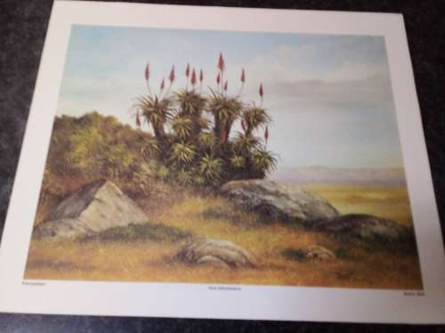 Unframed Quality Calendar Art Print Denis Murphy