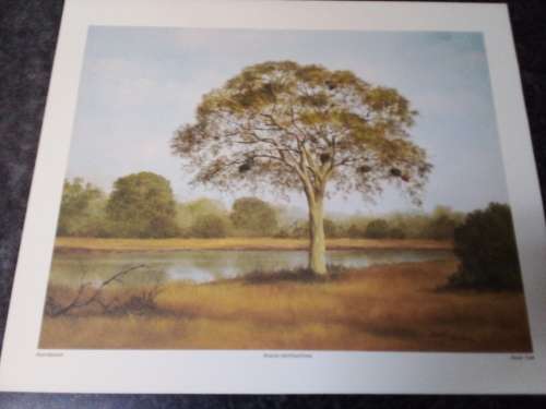 Unframed Quality Calendar Art Print Denis Murphy