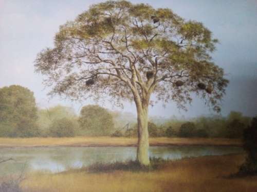 Unframed Quality Calendar Art Print Denis Murphy