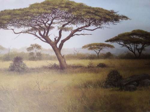 Unframed Quality Calendar Art Print Denis Murphy