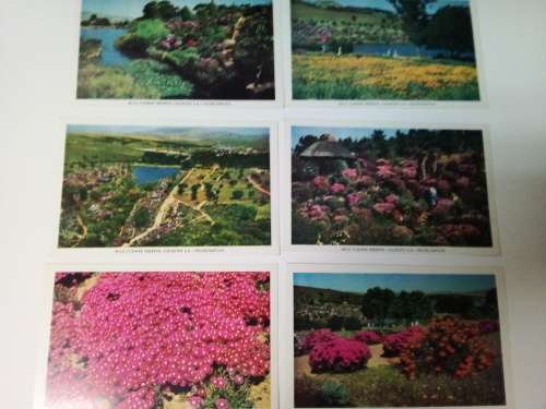 6 x Vintage Postcards Relating to Wild Flower Reserve Caledon