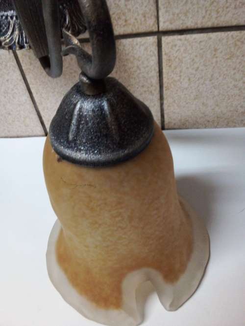 Decorative Tulip Shaped Wall Hanging Light Fixture