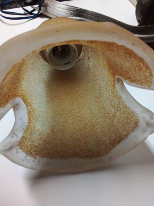 Decorative Tulip Shaped Wall Hanging Light Fixture