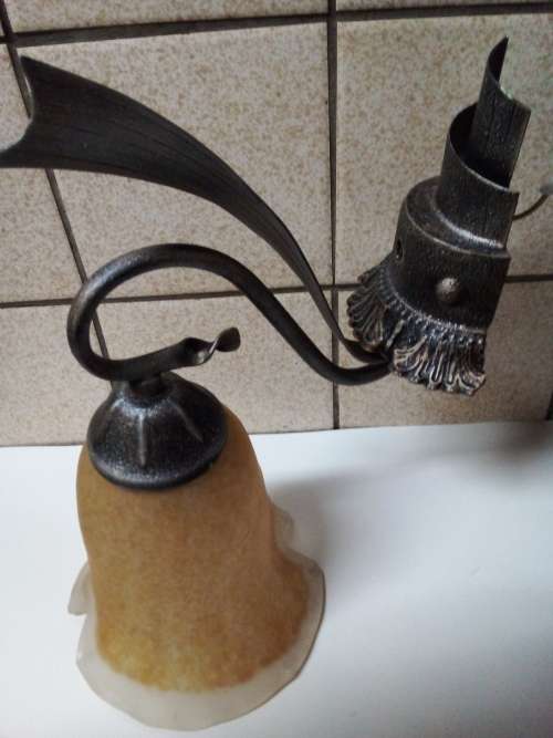 Decorative Tulip Shaped Wall Hanging Light Fixture