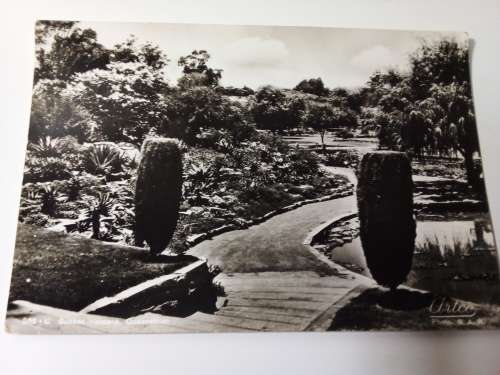 Old South African Postcard