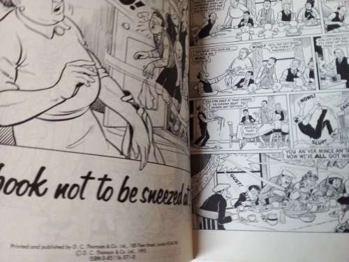 The Broons  - Scotland`s Happy Family Comic Strip Book