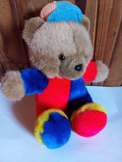 Teddy in Bright Outfit