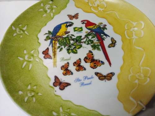 Bright Birds and Butterflies Wall Hanging Plate from Brazil