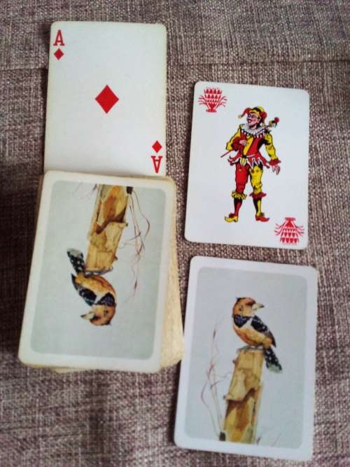 Preused Protea Birds of Southern Africa Playing Cards