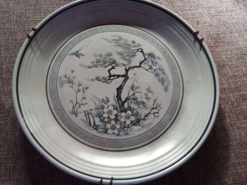 Solid Royal Doulton Asian Dawn Plate