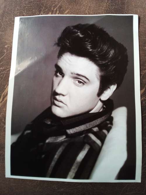 Elvis Presley Photo Poster Print