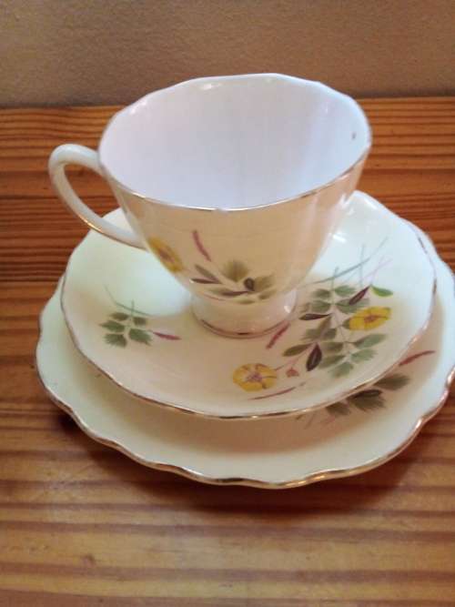 Vintage Colclough Bone China Trio - Cup chip
