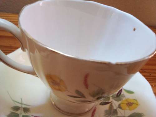 Vintage Colclough Bone China Trio - Cup chip